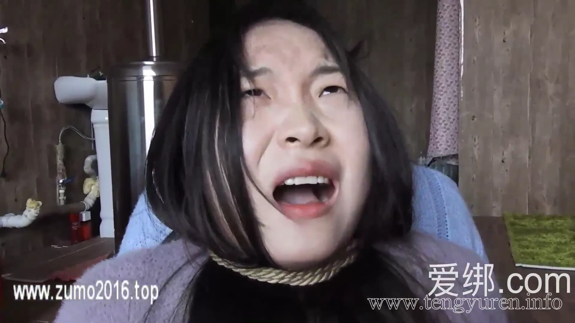 [芳草冰视]芳草早期定拍 短肉丝两女互杀