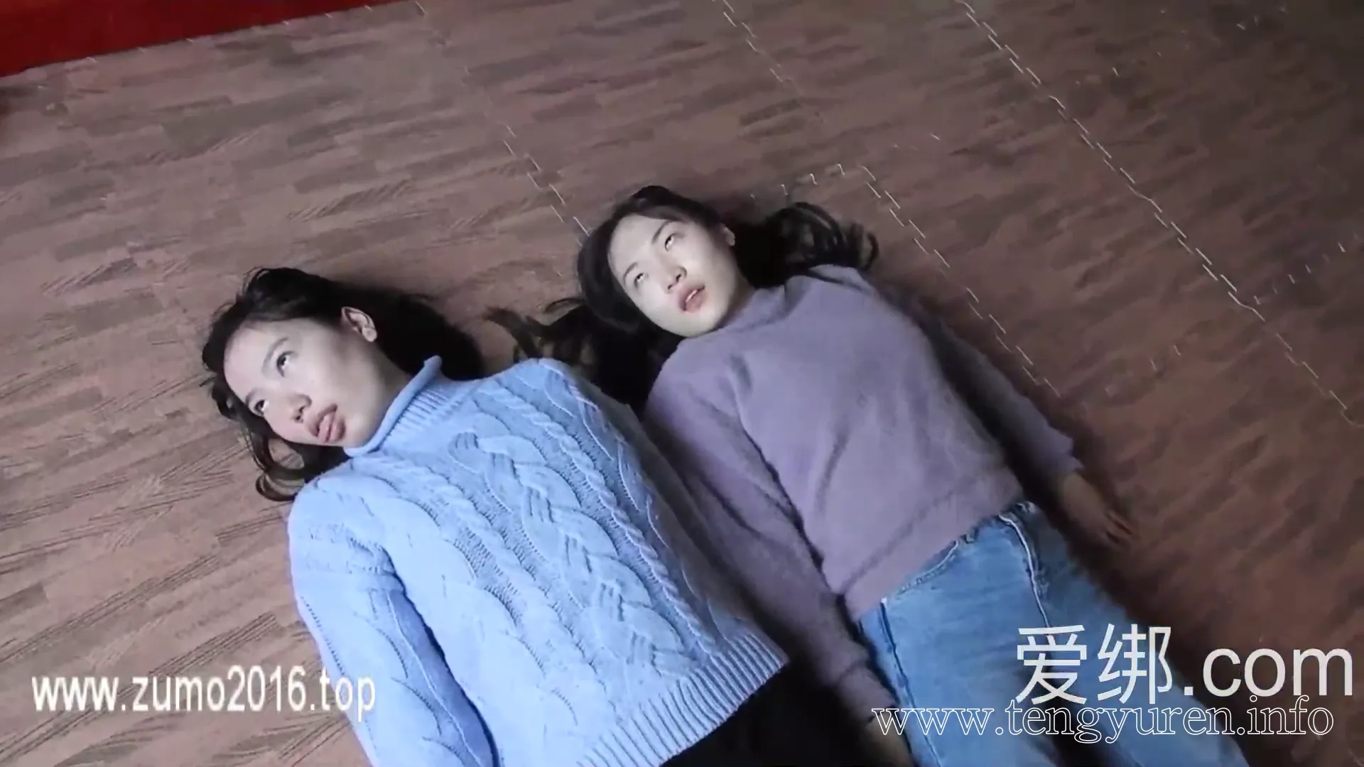 [芳草冰视]芳草早期定拍 短肉丝两女互杀