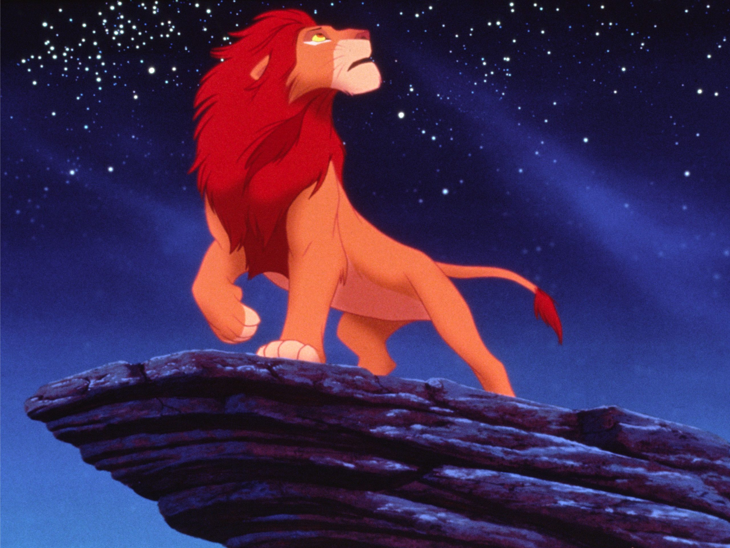 [意大利奇幻冒险动画片][辛巴狮子王][全52集完整版][1995][国语版合集]插图