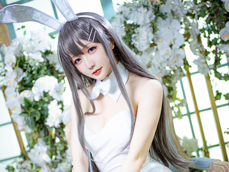 星之迟迟cos写真图片集大全[282套]合集网盘下载[185.54GB]