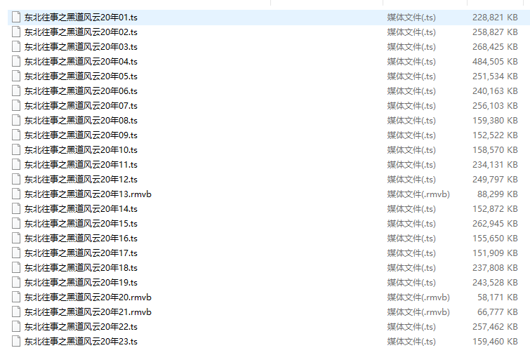 电视剧《东北往事之黑道风云20年》全23集无删减完整版高清在线观看插图2