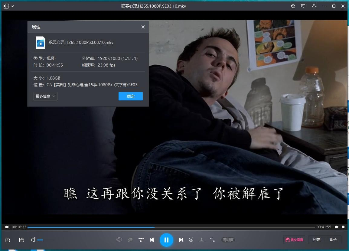 美剧《犯罪心理/Criminal minds》全1-15季322集高清英语中字完整版插图4