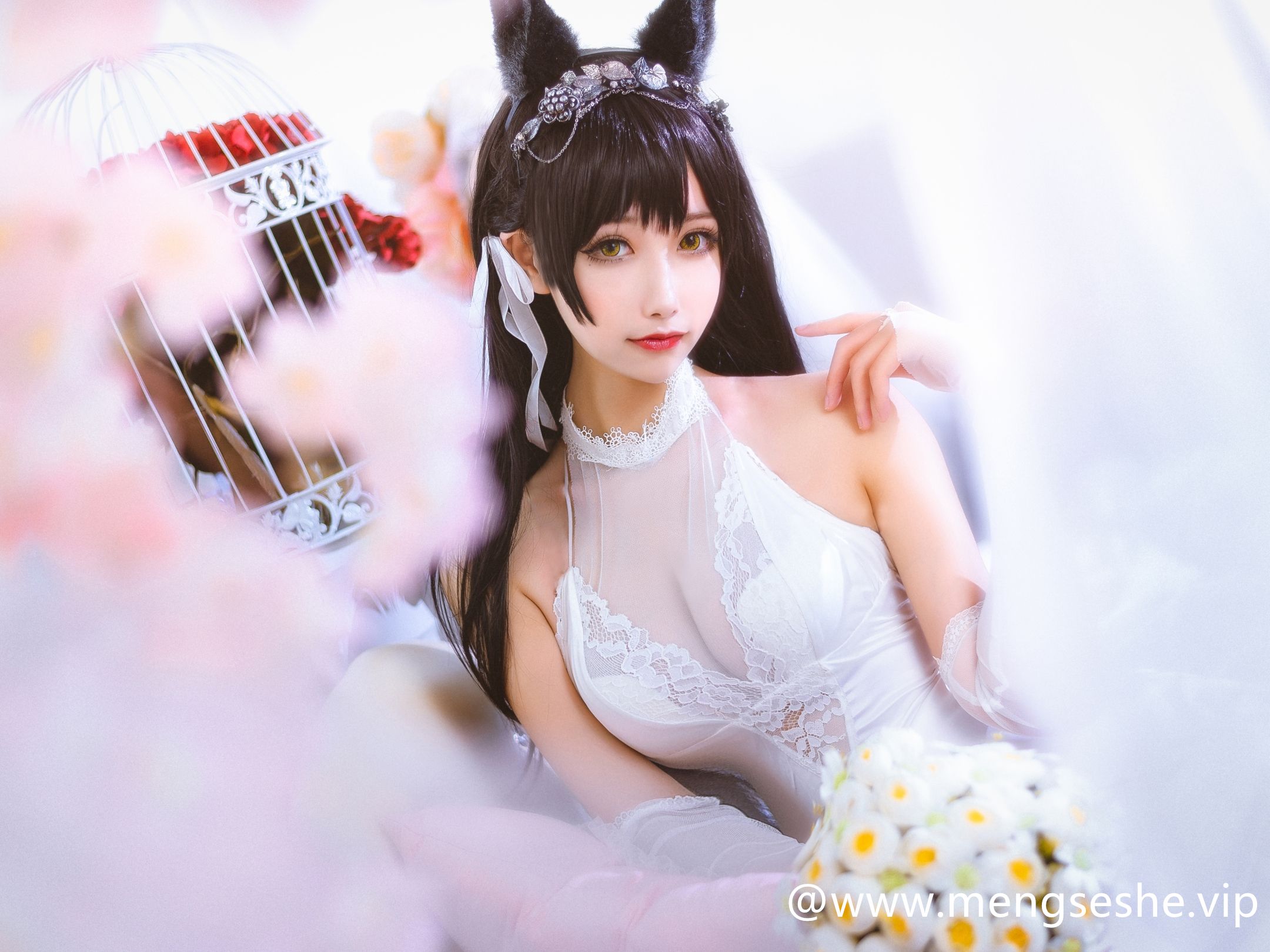 Momoko葵葵写真图片集套图[34套][7.36GB]合集网盘下载