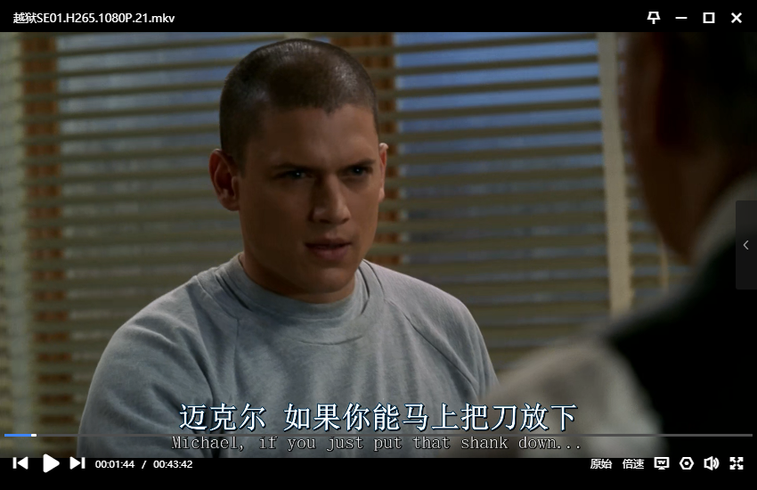 美剧《越狱/Prison Break》第1-5季全88集高清1080p+特别篇最后一越插图3 美剧《越狱/Prison Break》第1-5季全88集高清1080p+特别篇最后一越插图3