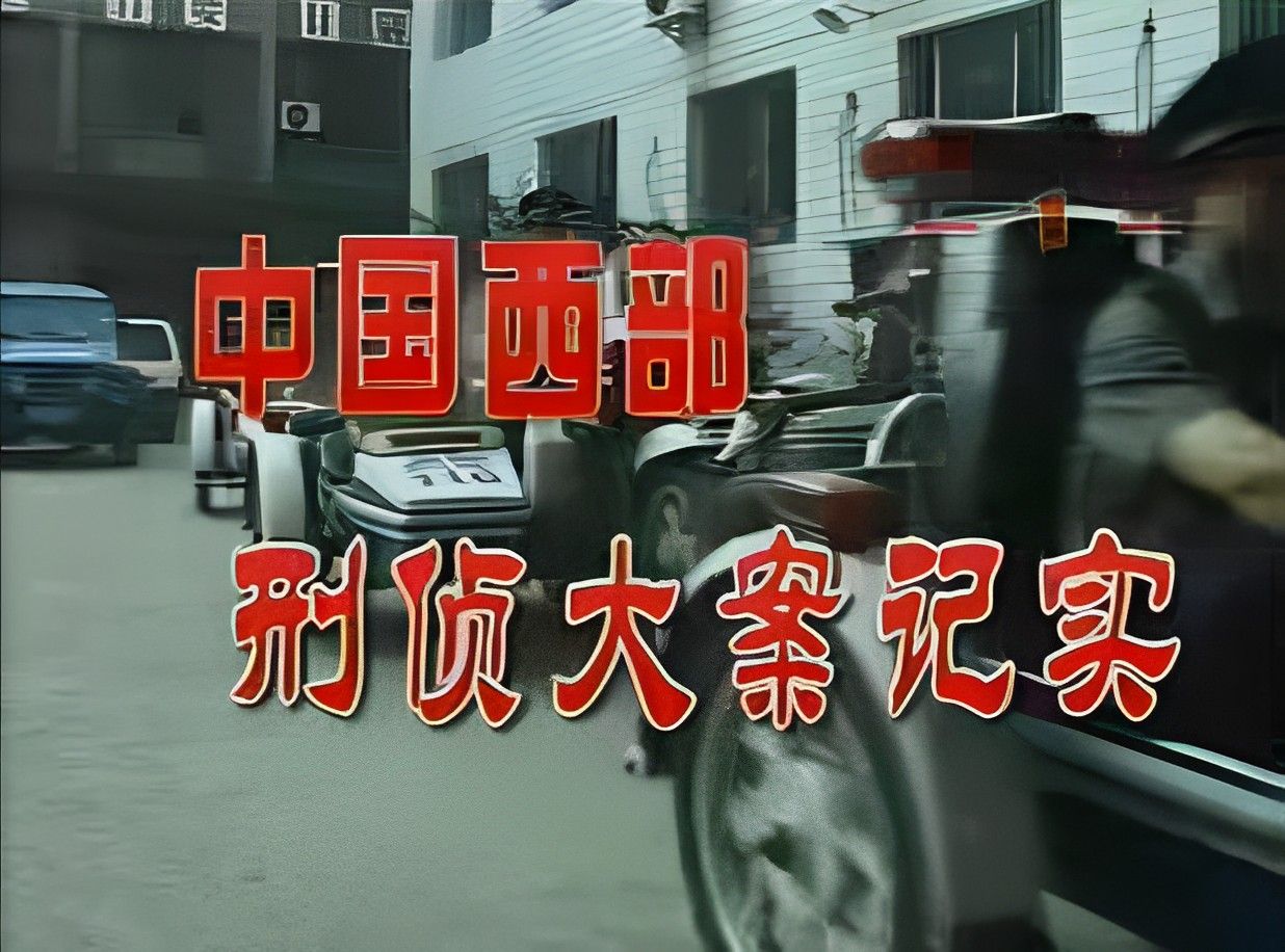 纪录片《中国西部刑侦大案/重案纪实姊妹篇》全46集视频合集完整版在线观看