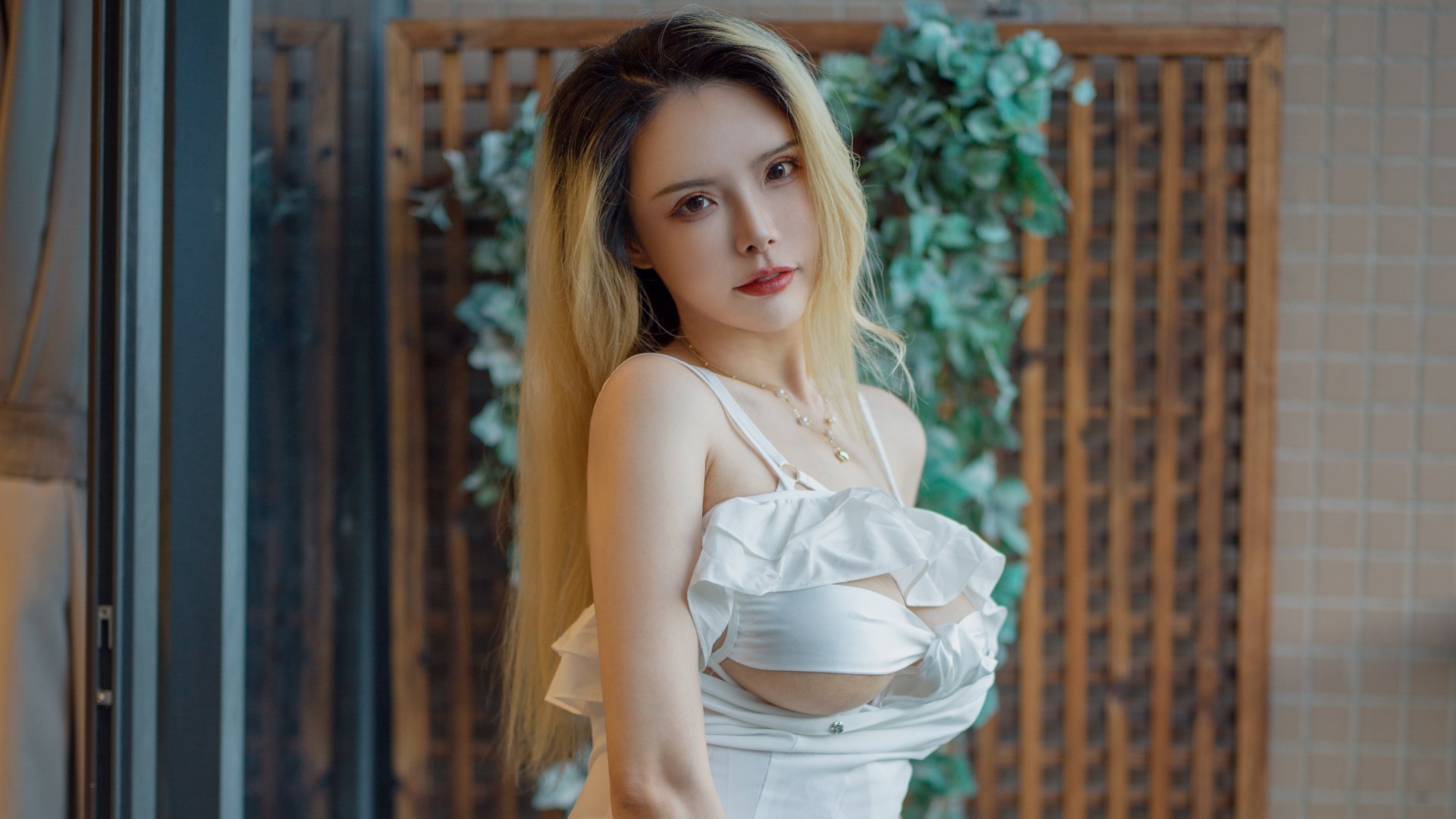 秋和柯基的《白色连衣裙》：春风知道的那个不能说的秘密