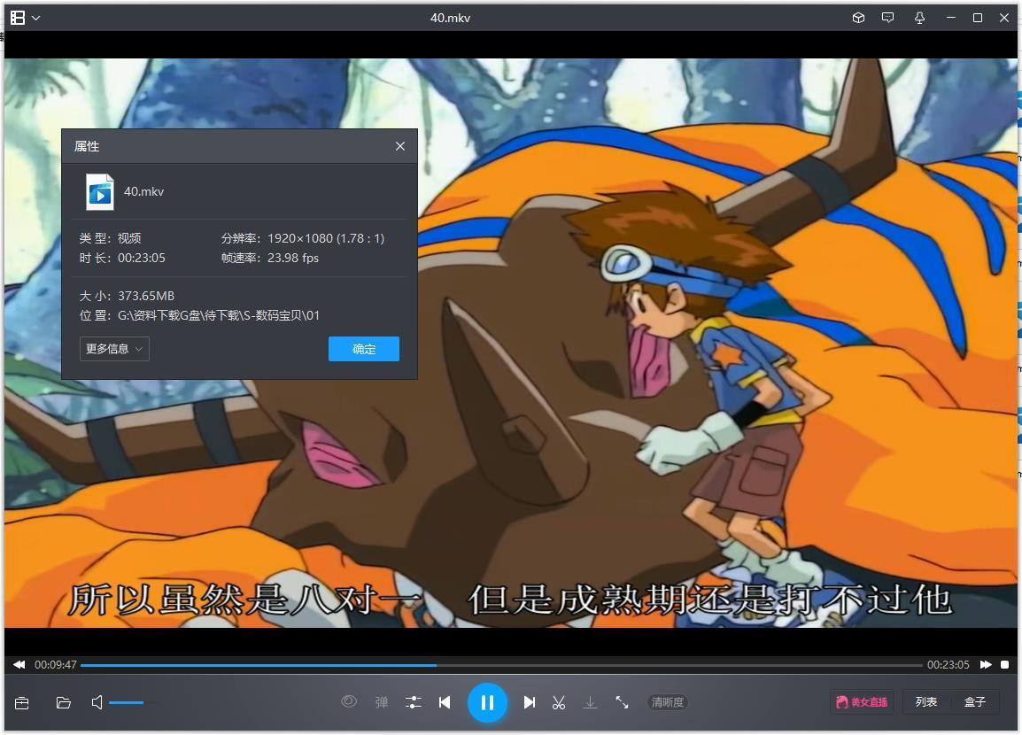 [日本奇幻冒险动画][数码宝贝][全7部+tir6集+剧场版合集(1999-2018)国粤中三语中字]插图2