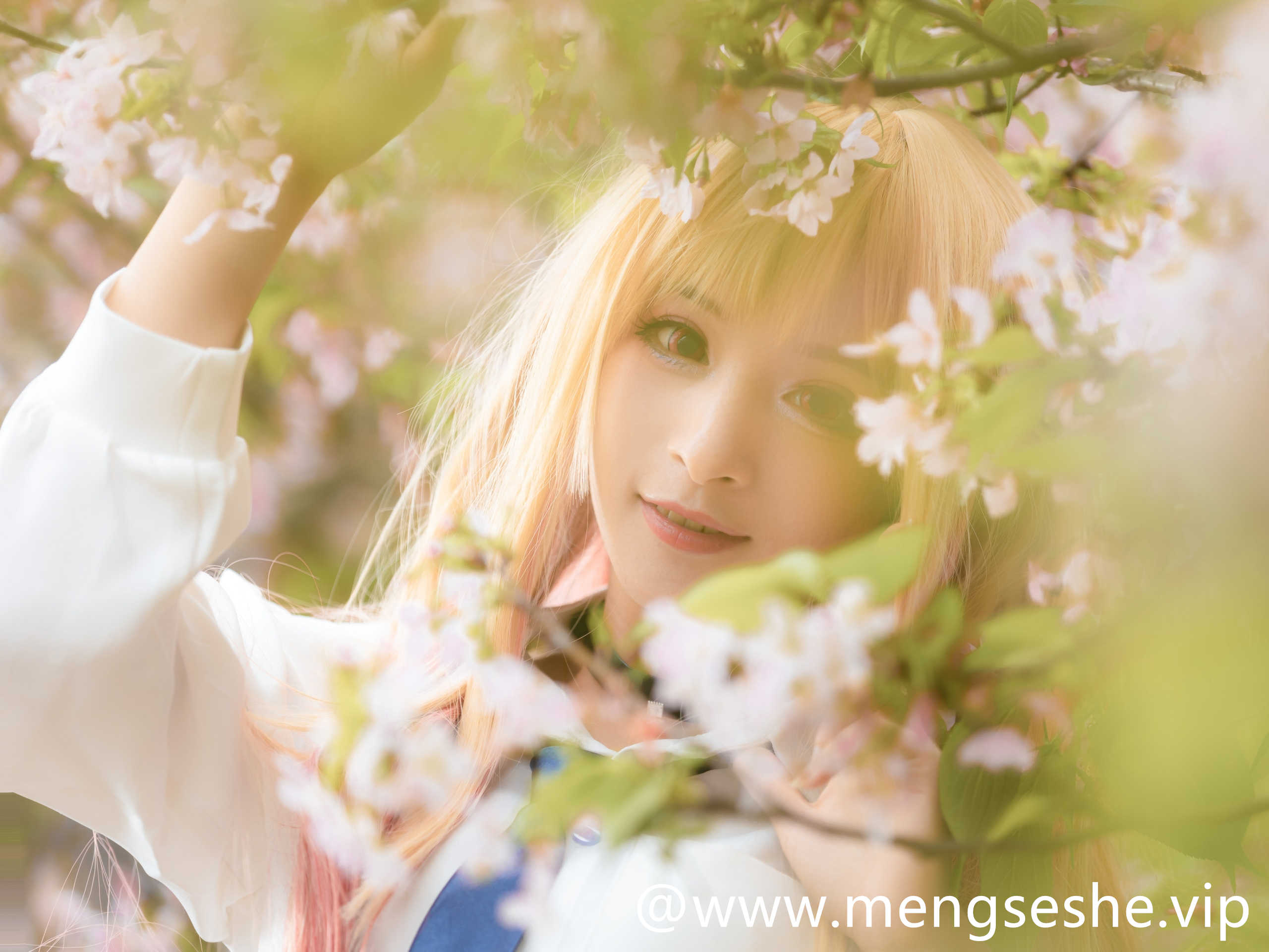 宝青坊主九九八吖，让你破防的一句话，哟来客人了，18套图片包下载