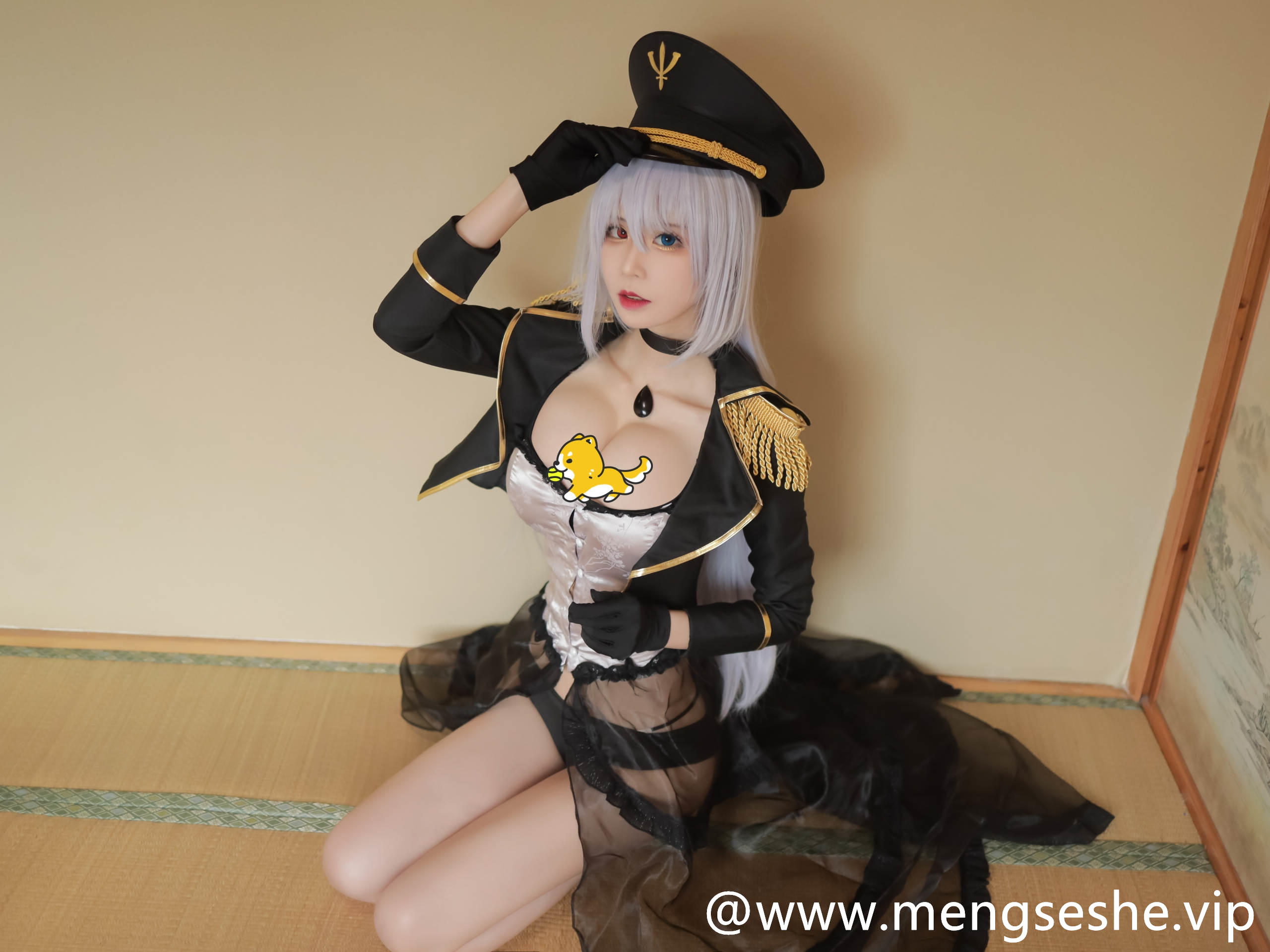 [爱老师_PhD(爱先生_PhD)][cos写真图集全套][45套][6.29GB]合集网盘下载