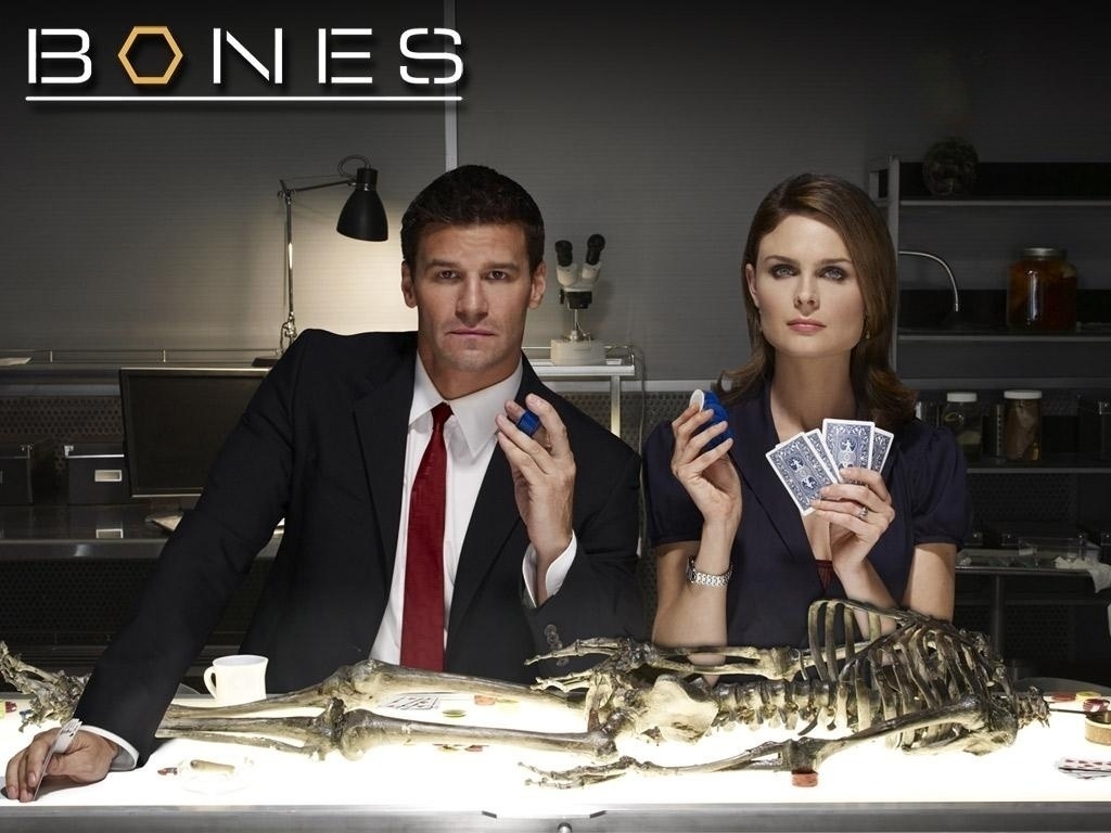 美国犯罪嫌疑剧《识骨寻踪/BONES》全12季246集[H265.1080P高清][英语中字]合集